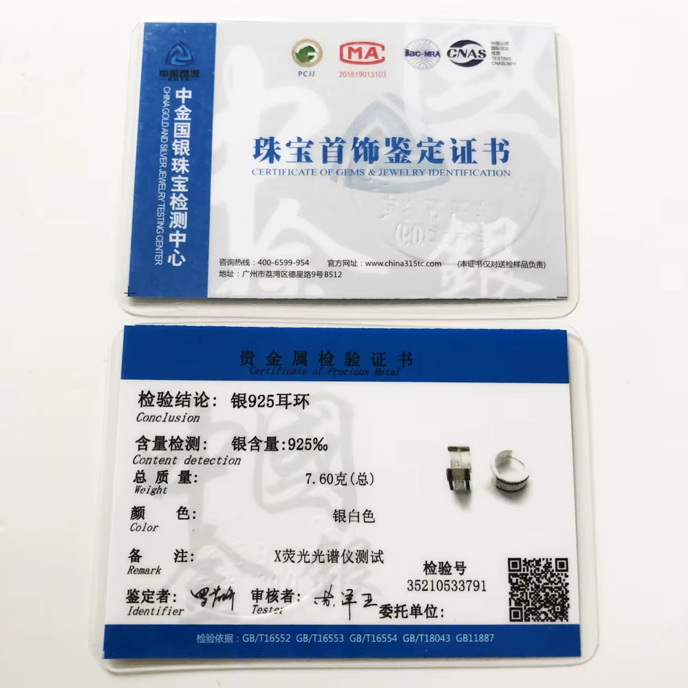 Creole Hinged Hoop Earrings Europe Style Glam Fine Jewerly Gift in 925 Sterling Silver for Women